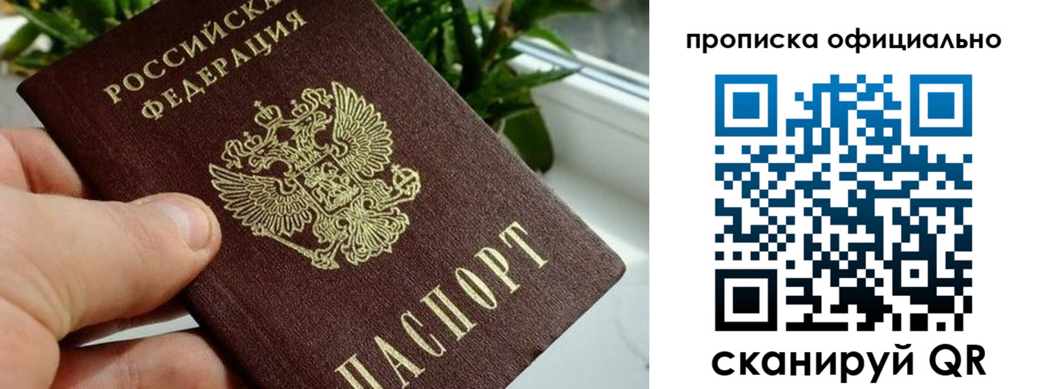 прописка поиск в Аркадаке